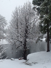 storm 02-25-15