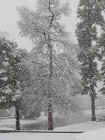 storm 02-25-15
