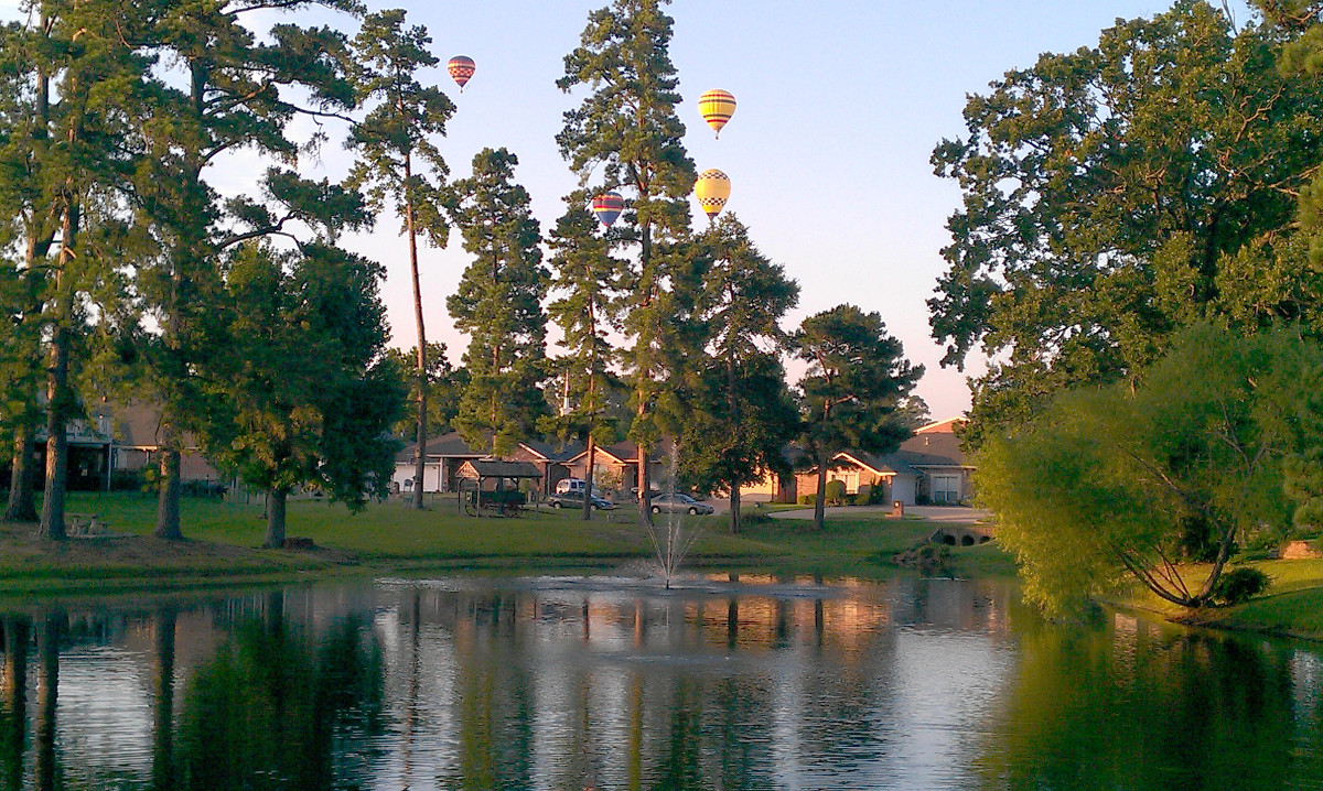pond background
